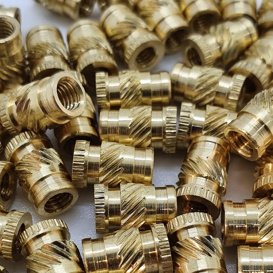 Centro Dojos Quilmes